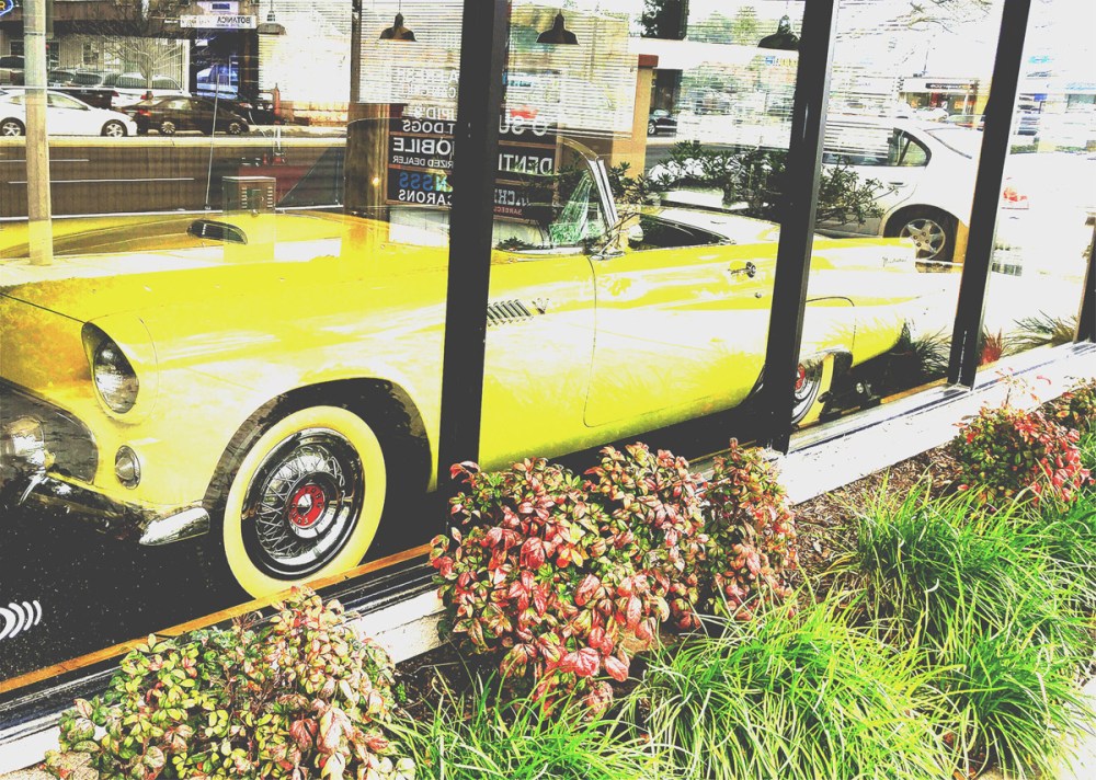 T-Bird's Eye View by Robert Koss