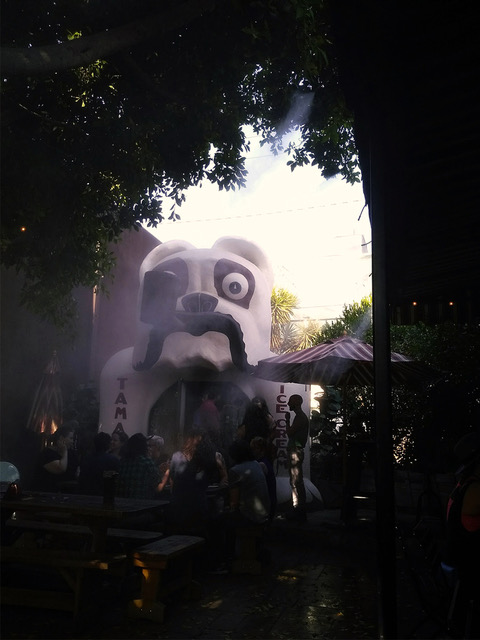 The Idle Hour: Number 49 in the Street Shot series by Robert Koss