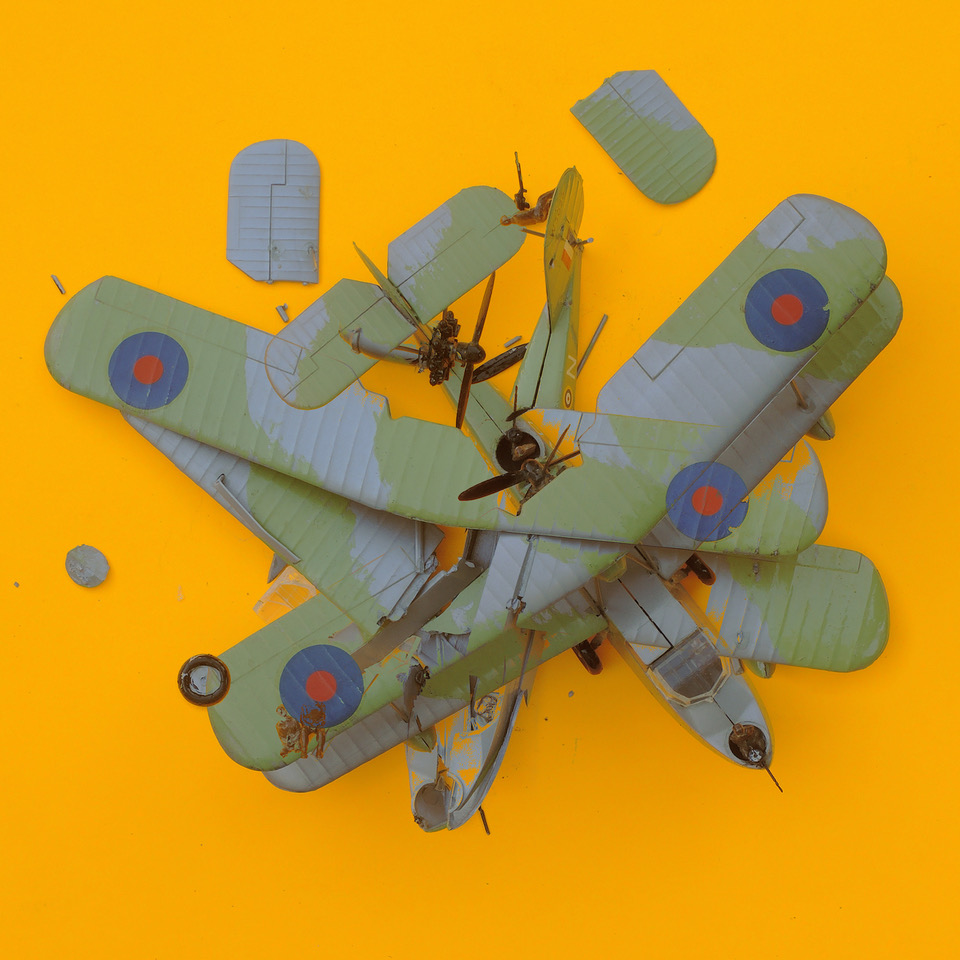 Walrus Meld by Robert Koss.